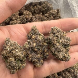 Purple Zoap