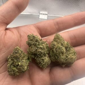 Runtz x Jealousy THCa Flower
