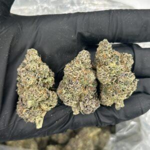 Black Cherry Gelato THCa Flower