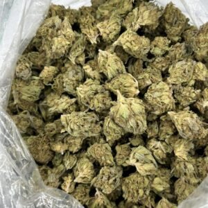 Blueberry Muffin