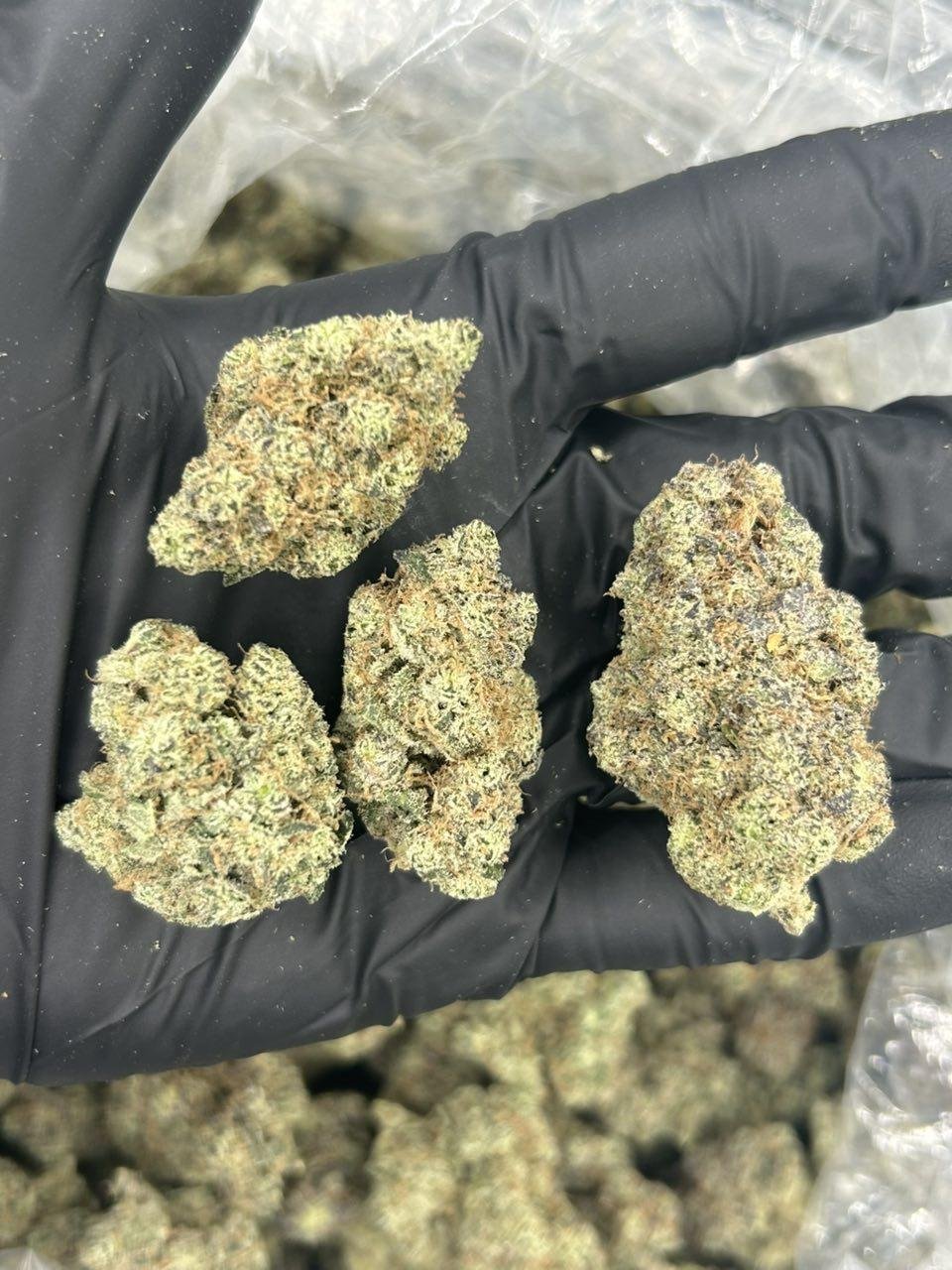 Blueberry Sugar - Image 2