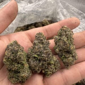 Candy Cartel