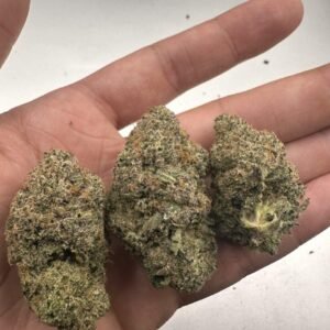 Cherry Gelato
