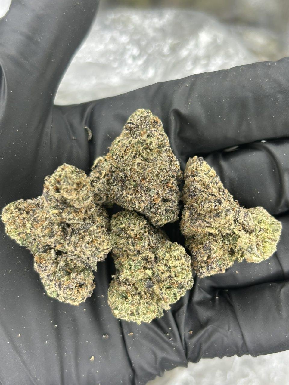 Garlic Breath - Image 2