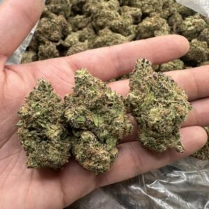Rainbow Inferno THCa Flower