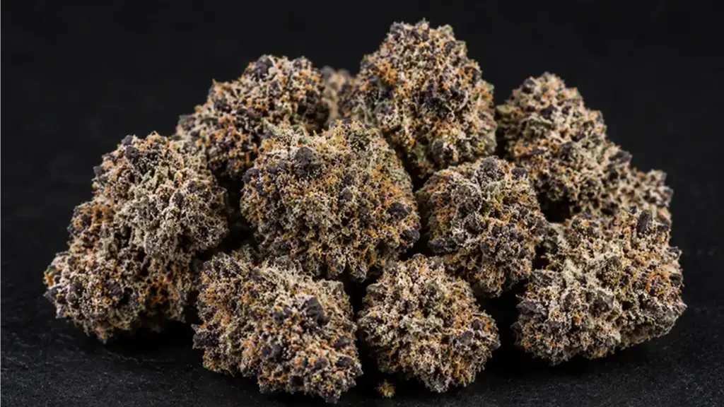 Black Cherry Gelato Strain: Effects, Flavor, Aroma & Growing Guide