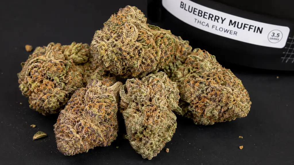 Blueberry Muffin THCA Flower
