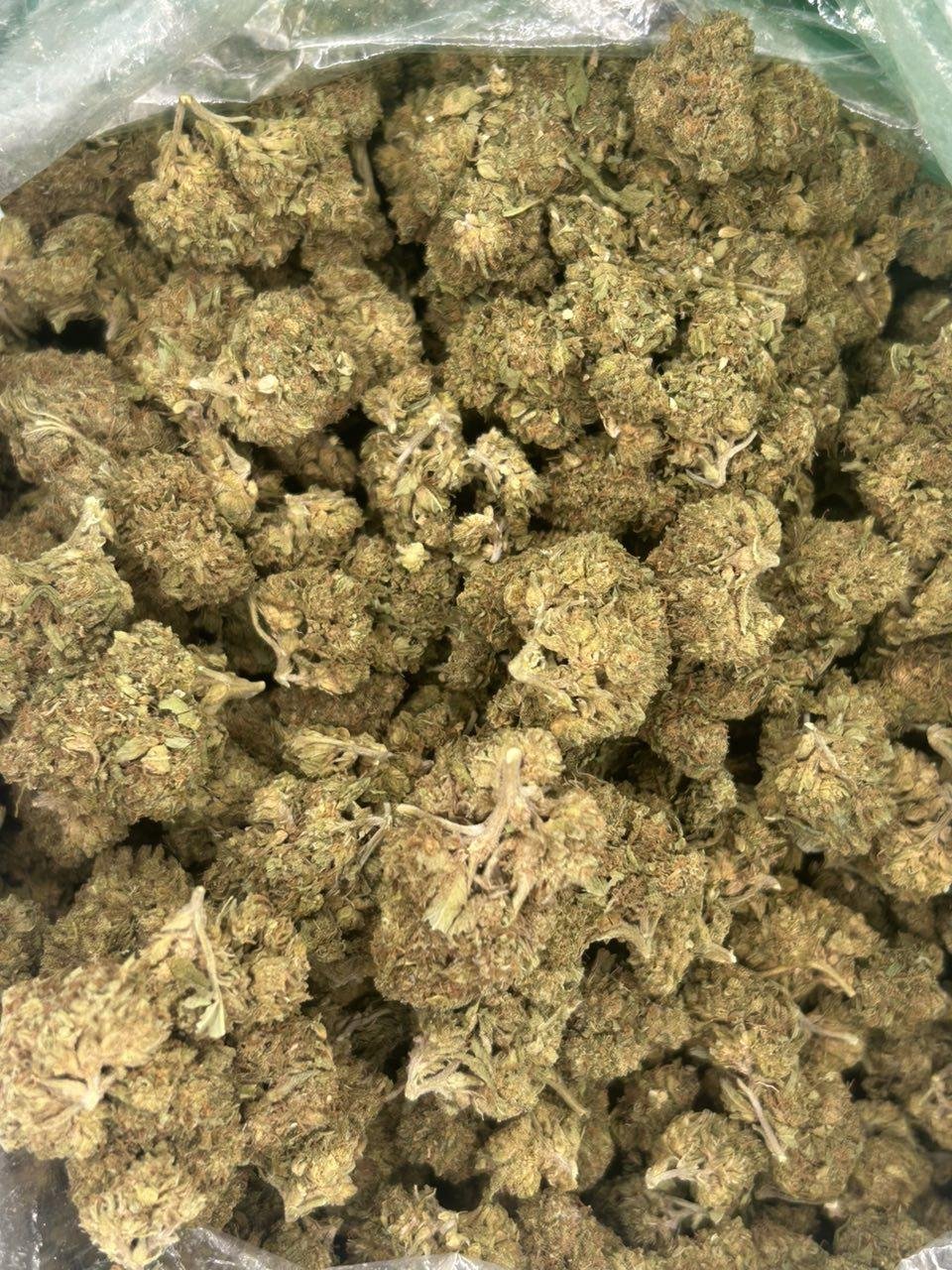 Blueberry Muffins 2.0 - Image 2