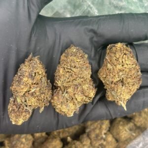 Gelato