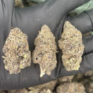 Grape Lobster