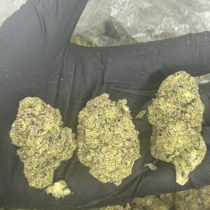 Purple Cake