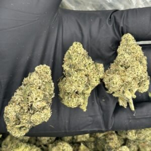 Lemon Fuckin Gelato
