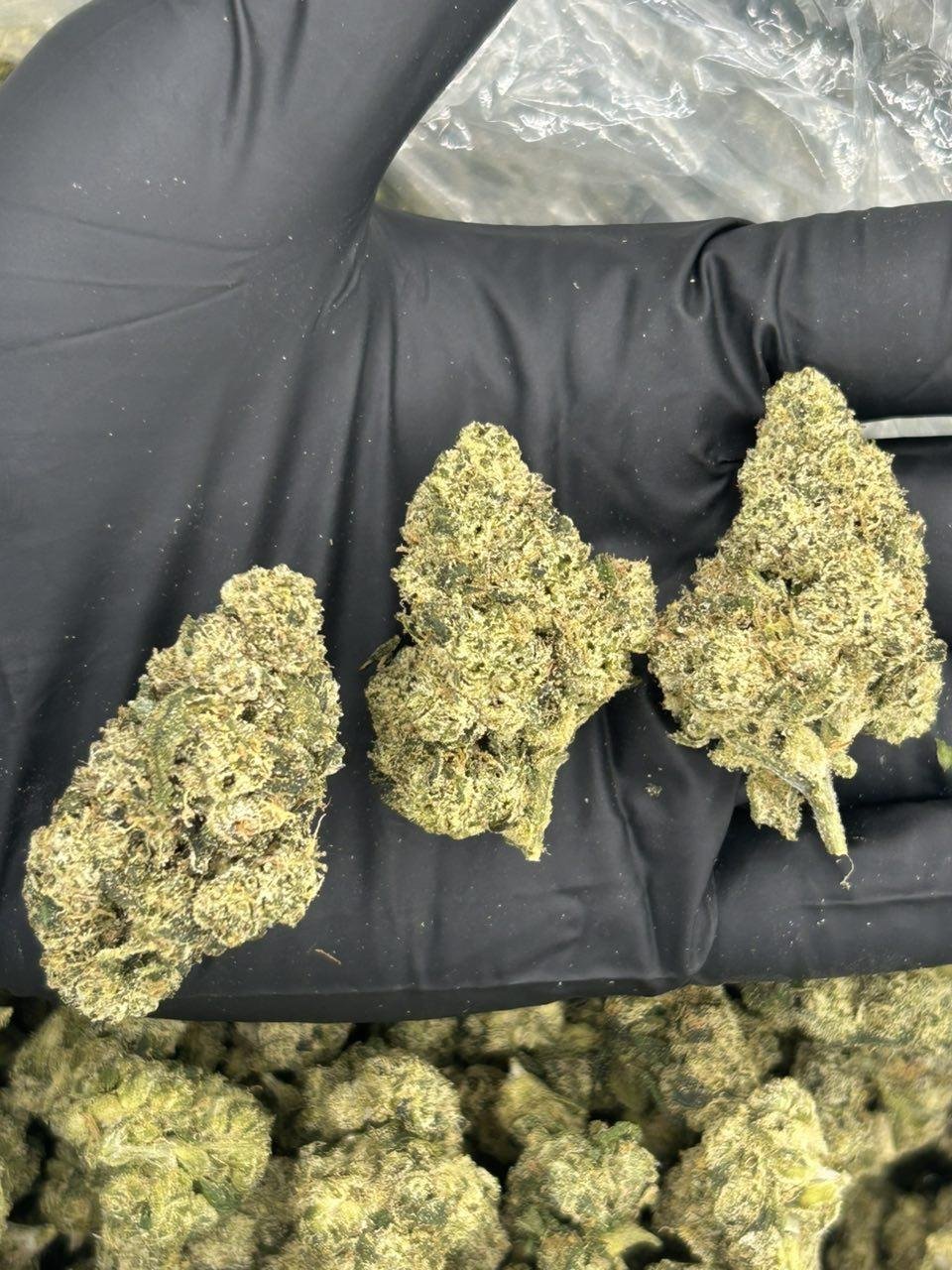 Lemon Fuckin Gelato