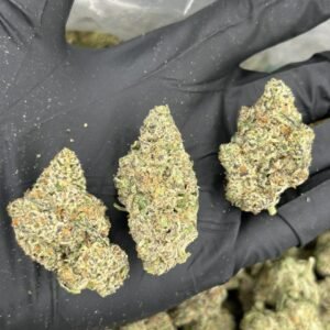 Pink Slurpe THCA Flower