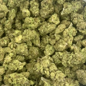 Garlic Breath (GB) 2