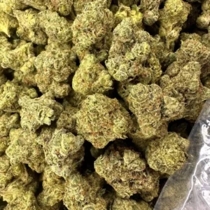 Gelato 33