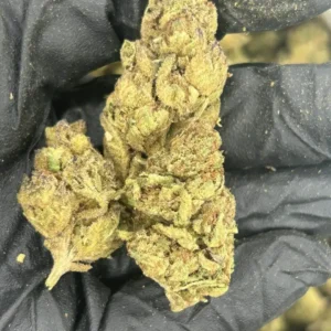Gelato Runtz