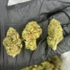Green Crack