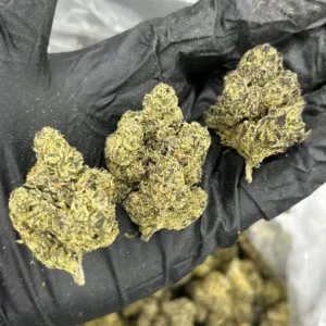 MOB 342 THCa Flower