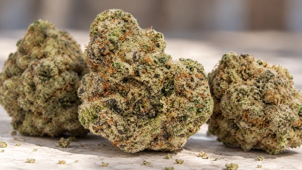 Miracle Alien Cookies Strain
