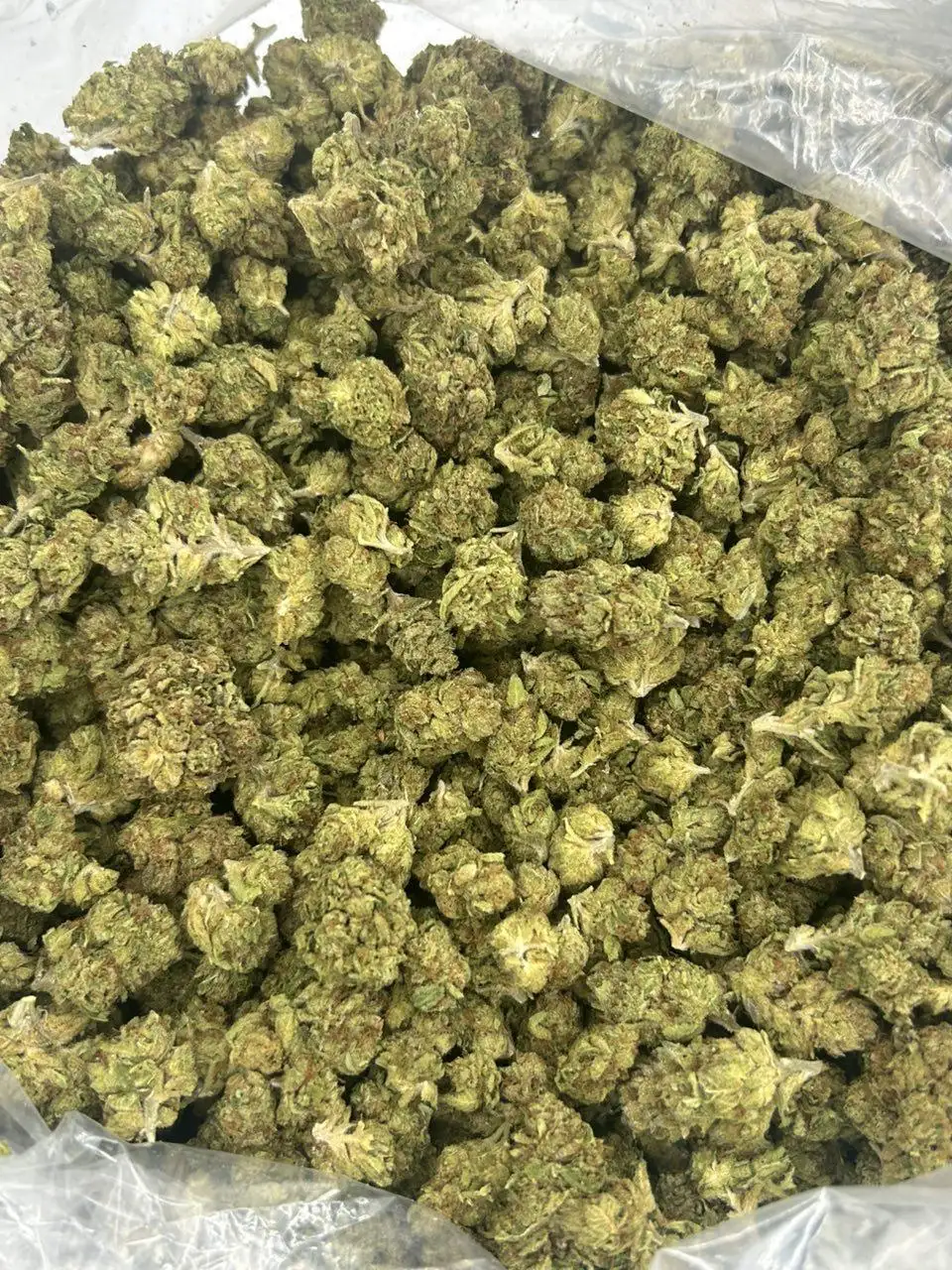 Oreoz THCA Flower - Image 2
