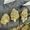 Purple Runtz