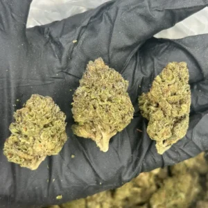 Purple Runtz