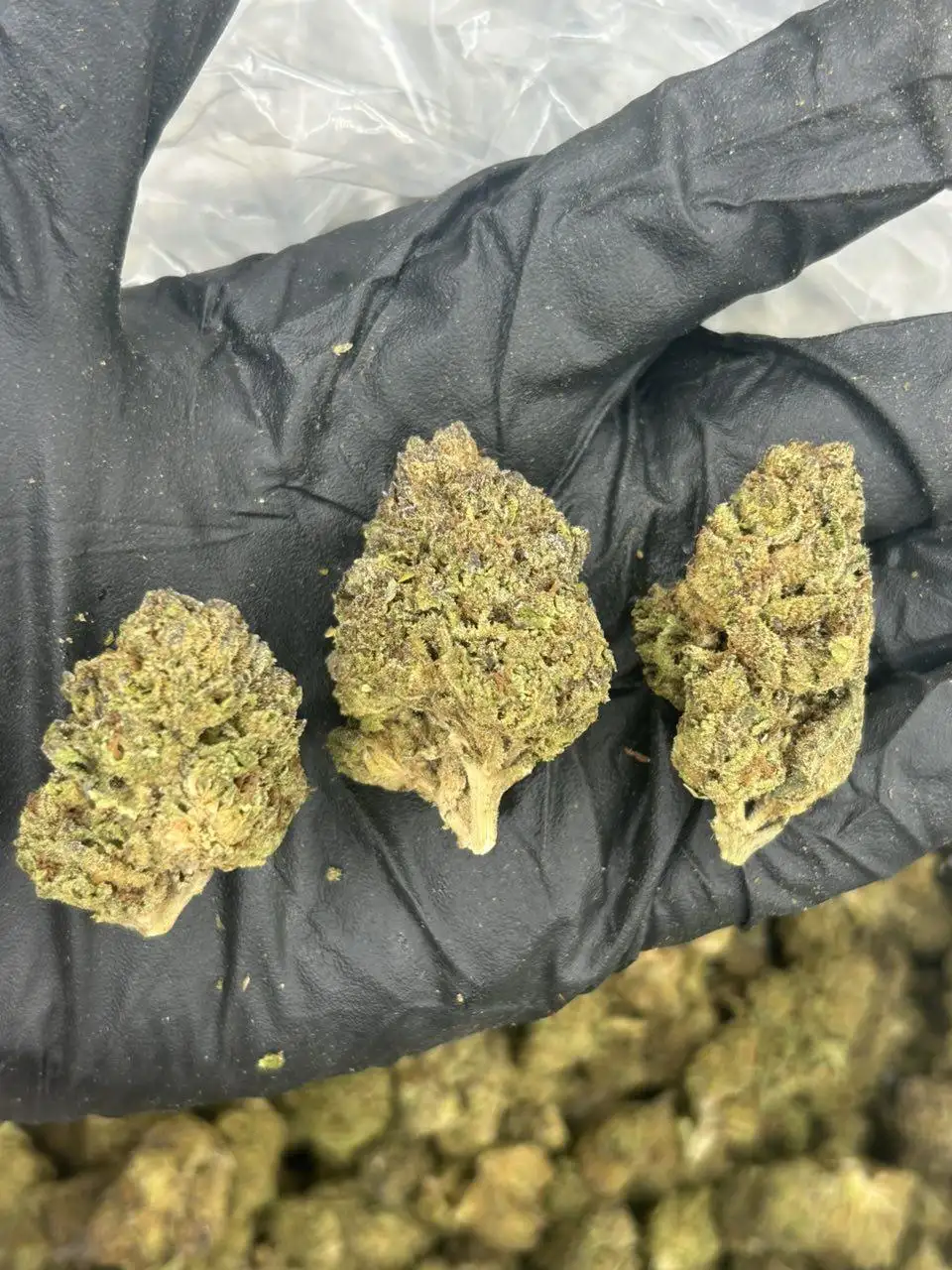 Purple Runtz